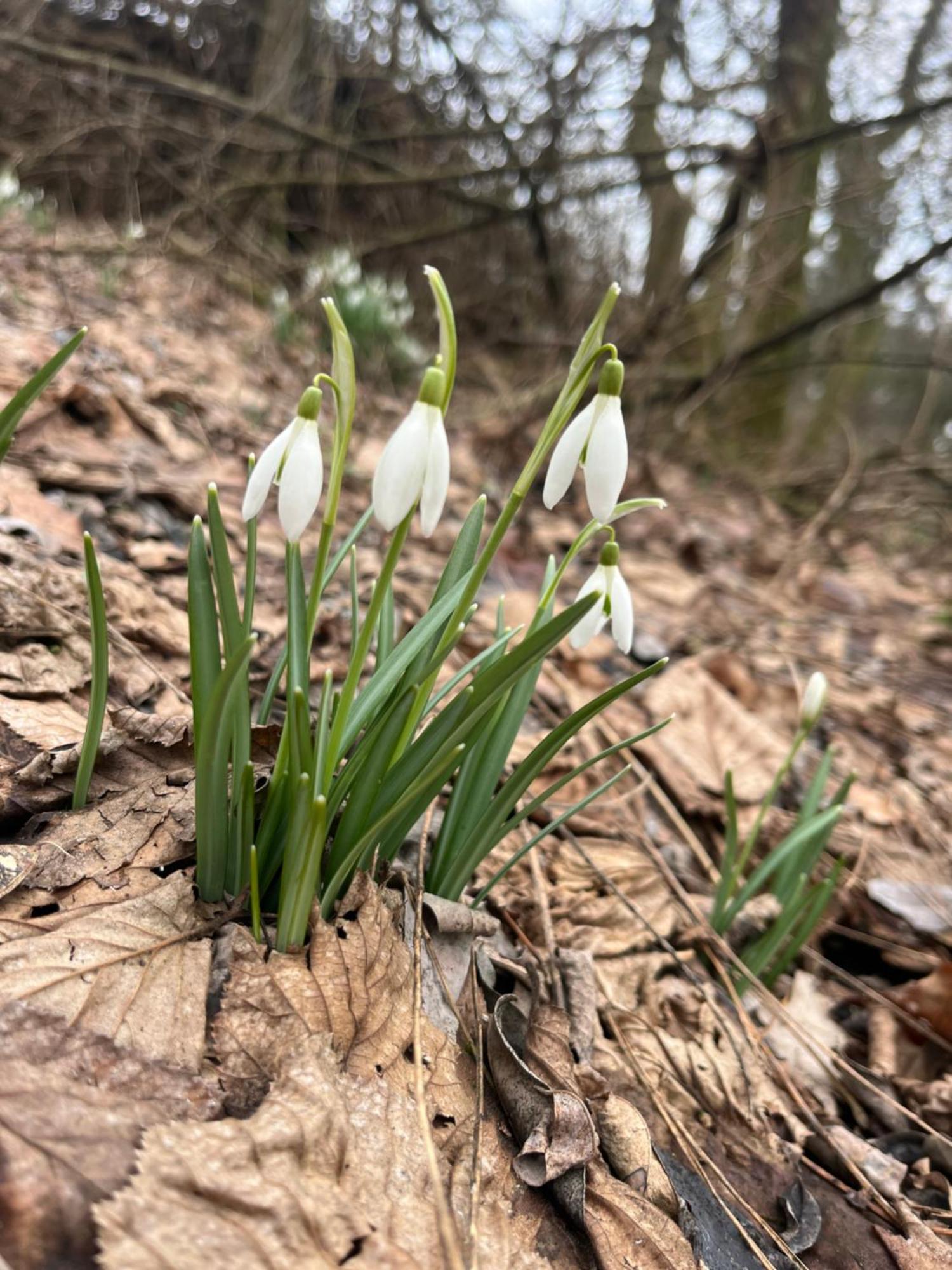 Dworek Biesiadny Radzewice Esterno foto