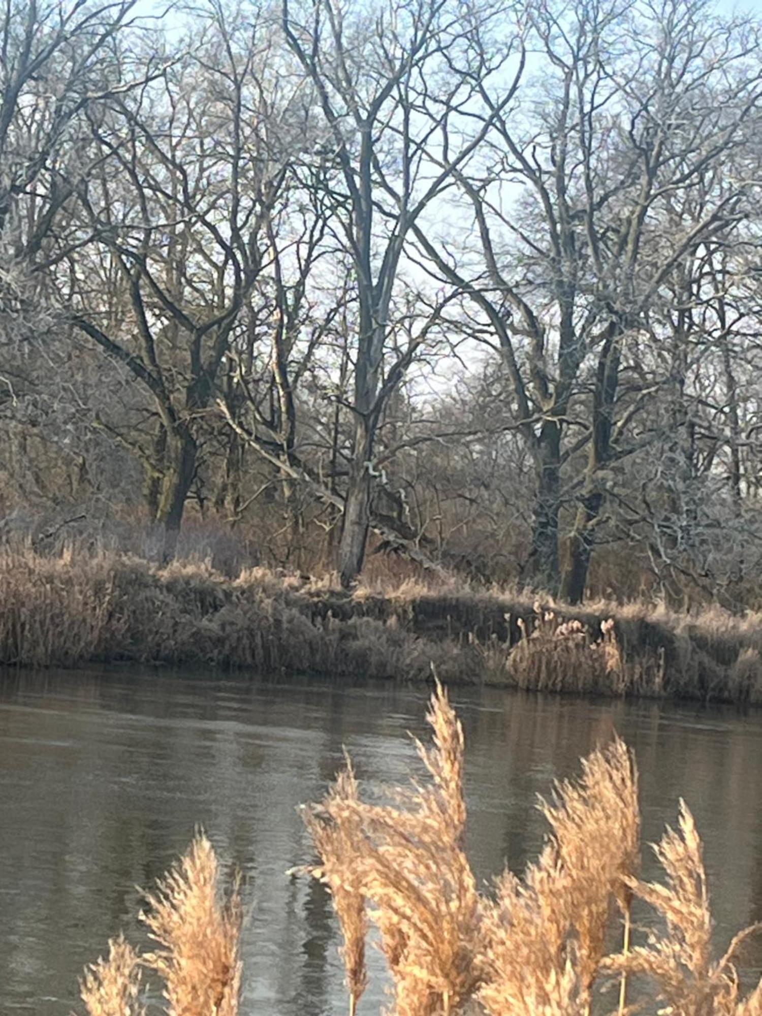 Dworek Biesiadny Radzewice Esterno foto